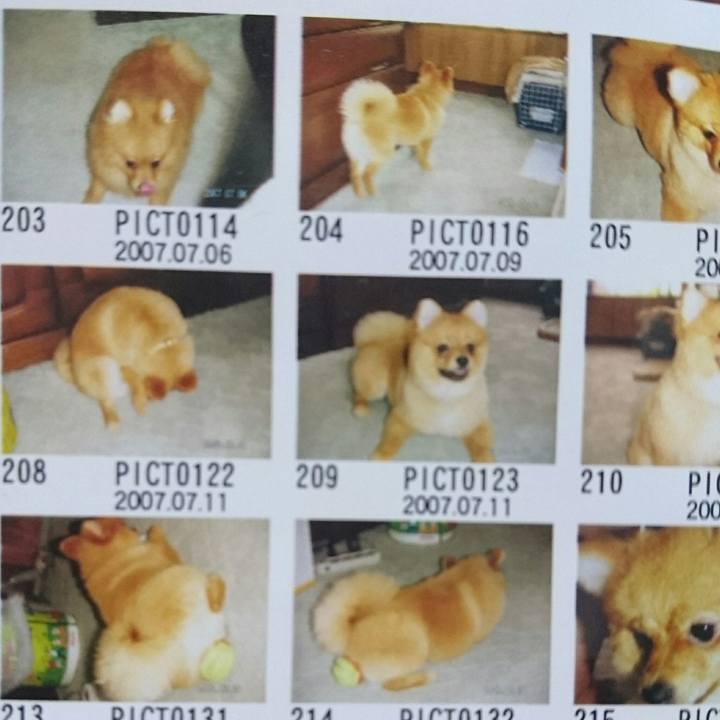 Ebf63f44 0f05 4728 80b8 f86024c86db4