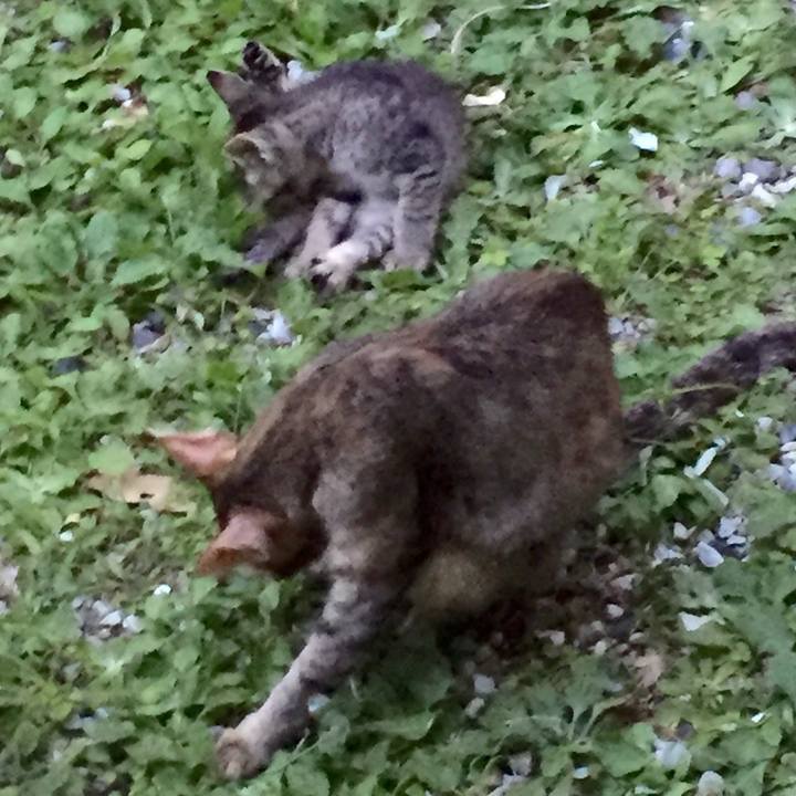 Ebf653c4 5853 48d7 a245 624ec9844eea