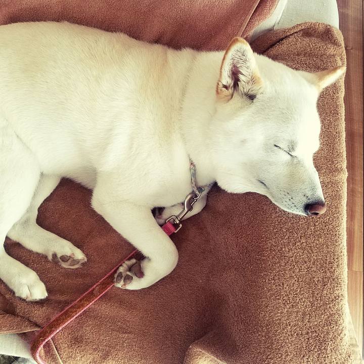 Ebf6698b 250d 4939 a64a ac07fd19c572