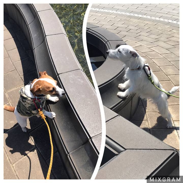 Ebf772b7 fd18 4def 9dec 51c758350cc7