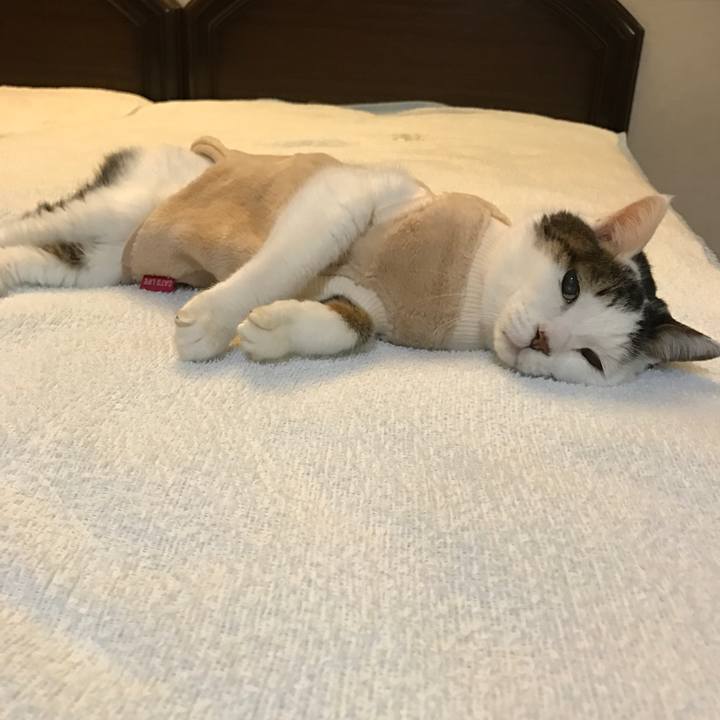 Ebf7c5ab 87e4 47e5 91bc 3c12d6675202