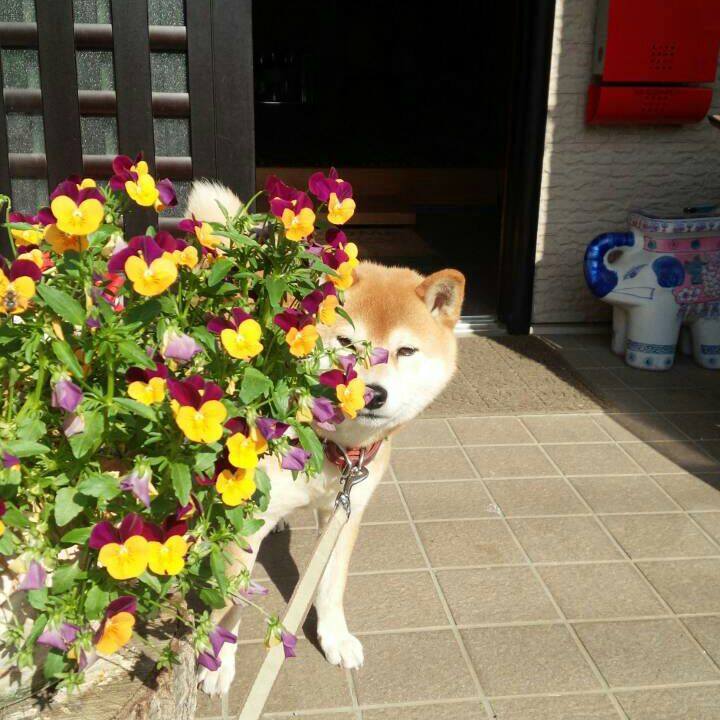 Ebf801e4 80a5 45a3 9156 fea66cb94ef1