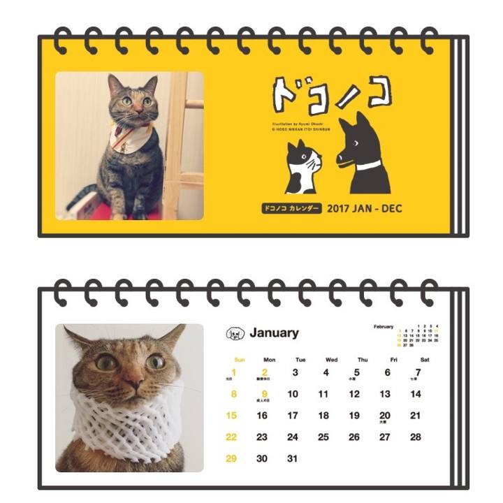 Ebf81dbb 4d8e 4d7a 9aa2 f985d820d49d