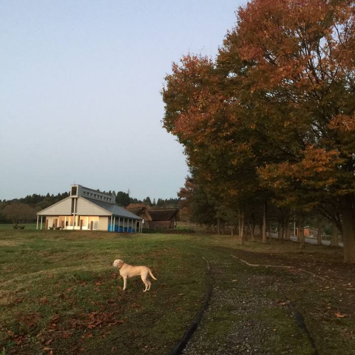 Ebf8a0a7 a2f8 45a3 ab50 114aa5df314b