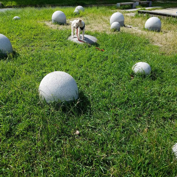 Ebf8ab7c d518 47cb 8da2 568a9da08ac4