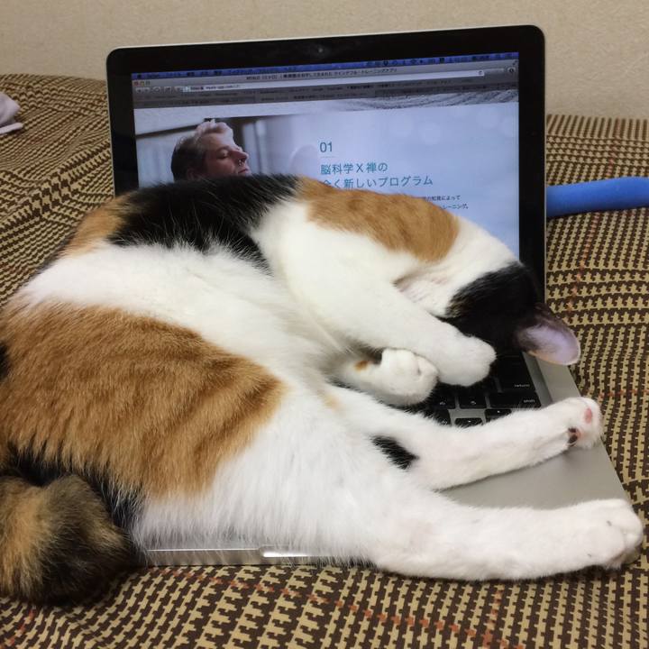 Ebf8b16d f5a9 4e1e 95fc ec5f82fe1c8f