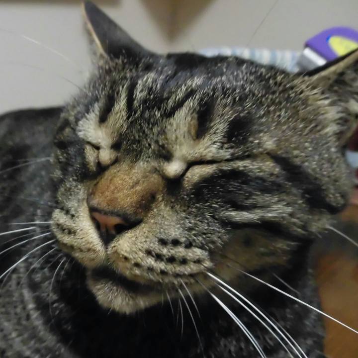 Ebf8b852 00c0 4409 ac1e 779a8401d5c9