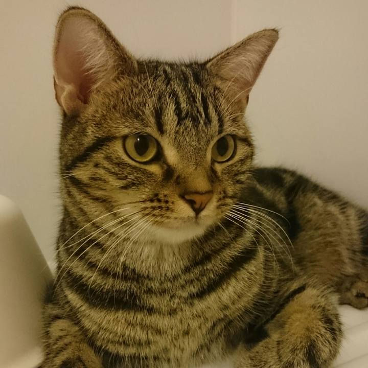 Ebf953d2 6816 45db 96e5 61bc6cf1672e