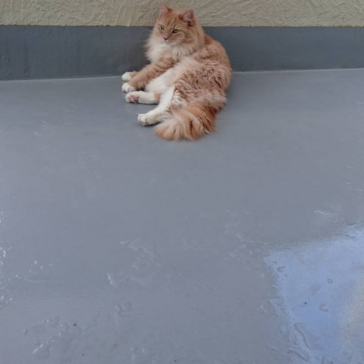 Ebf967cb 1e4d 494d 8815 3166913dffa5