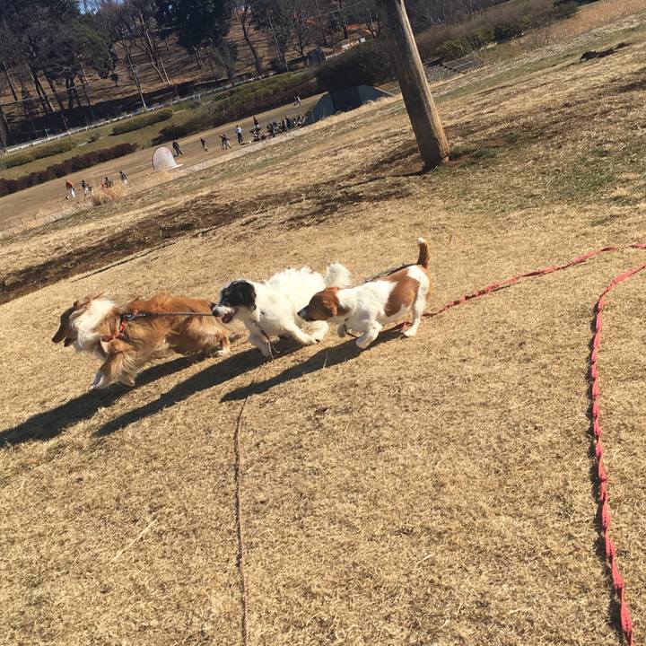 Ebf9f977 b5c8 4055 af26 0568738c8ca6