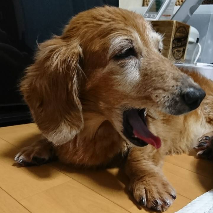 Ebfa3ebf 73e2 484b a154 8dbbd8e5d98d