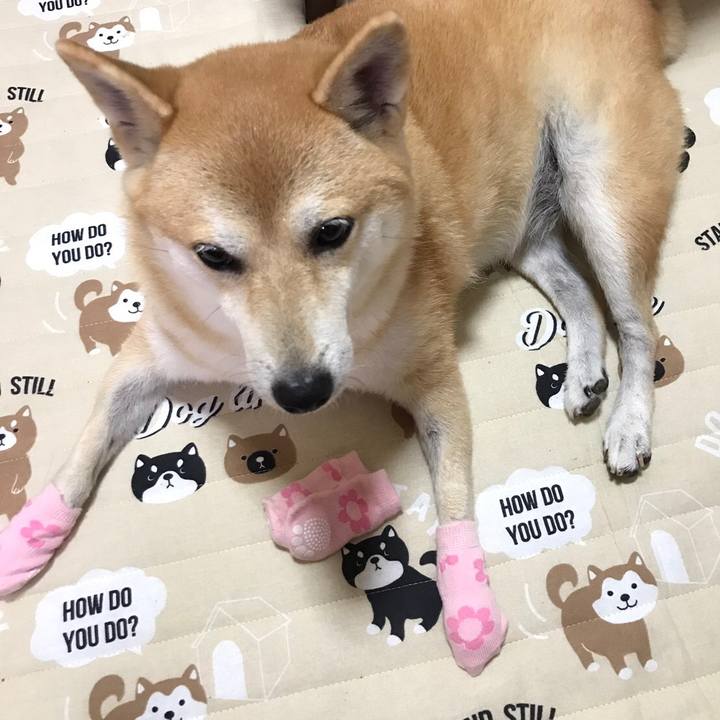 Ebfaa398 b28c 4006 9965 2e89c5752266