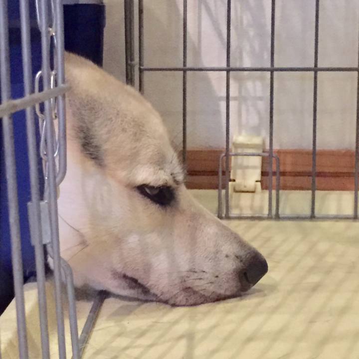 Ebfaed86 aee0 4fe8 accc bb4182753d97