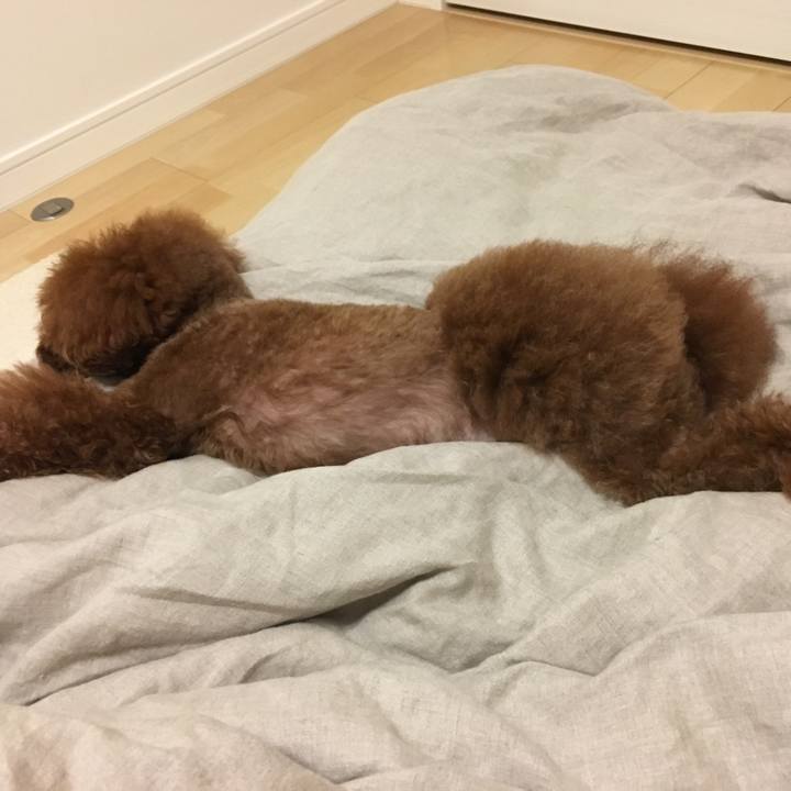 Ebfb1a4e 4188 4958 9ef7 5a89aaa50f40