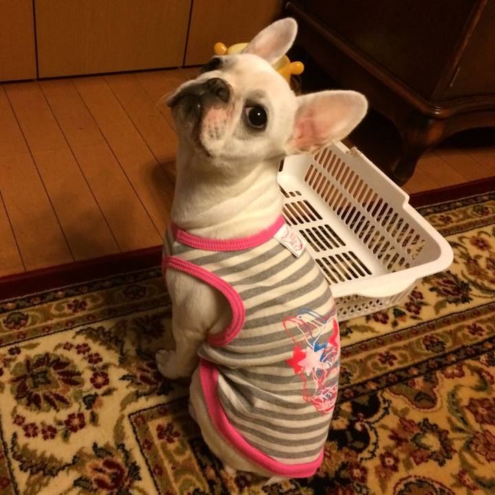 Ebfc1cff c3ea 4024 83e6 abfc0b6d33df