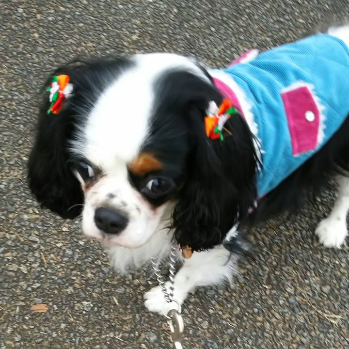 Ebfc3b63 301e 4dbb 8527 210013327af0