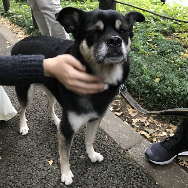 Ebfced53 3112 4819 8df5 8b2a383f5f94