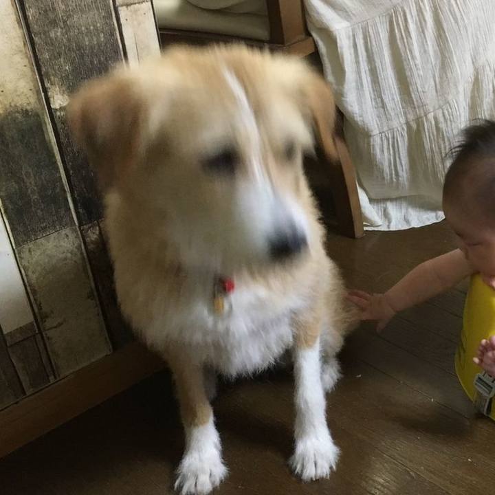 Ebfdd85b f17a 4be1 9136 79946358e235