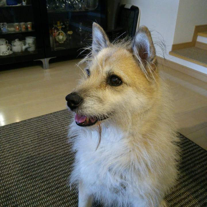 Ebfe3d53 6b11 4bc8 a8cd 05f51622faed