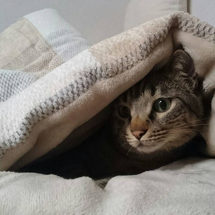 Ebfe45db 1dbd 46c0 90d9 bc38c00eebbe