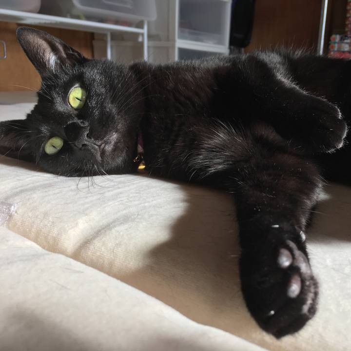 Ebfea2c3 6fcd 4f27 83a5 66dd23a403ed