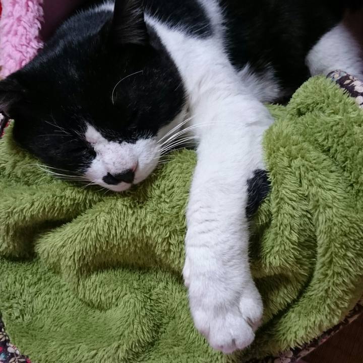 Ebfff063 3490 4dc9 a364 0323b6eeb586