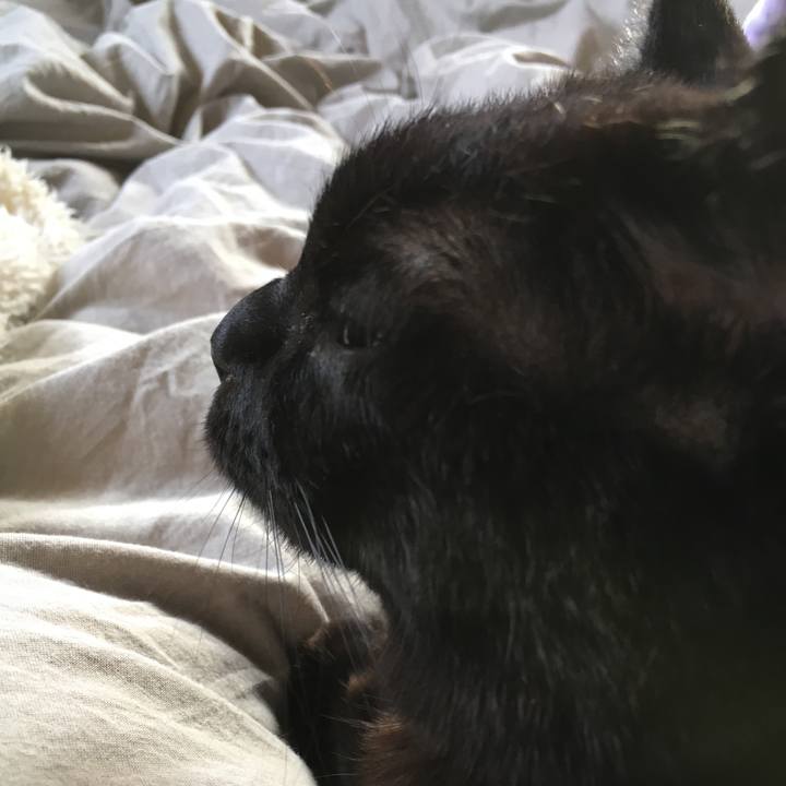 Ec000ca9 dbd9 48e7 bc5f 8367df80dd99