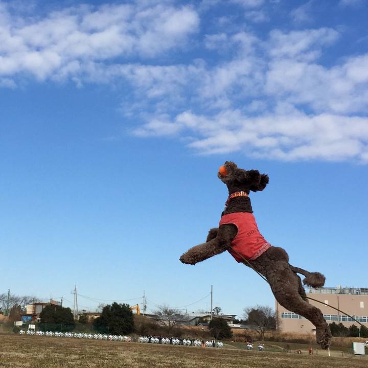 Ec003d93 cc64 4fcb bf1e 3248fe8d64a1