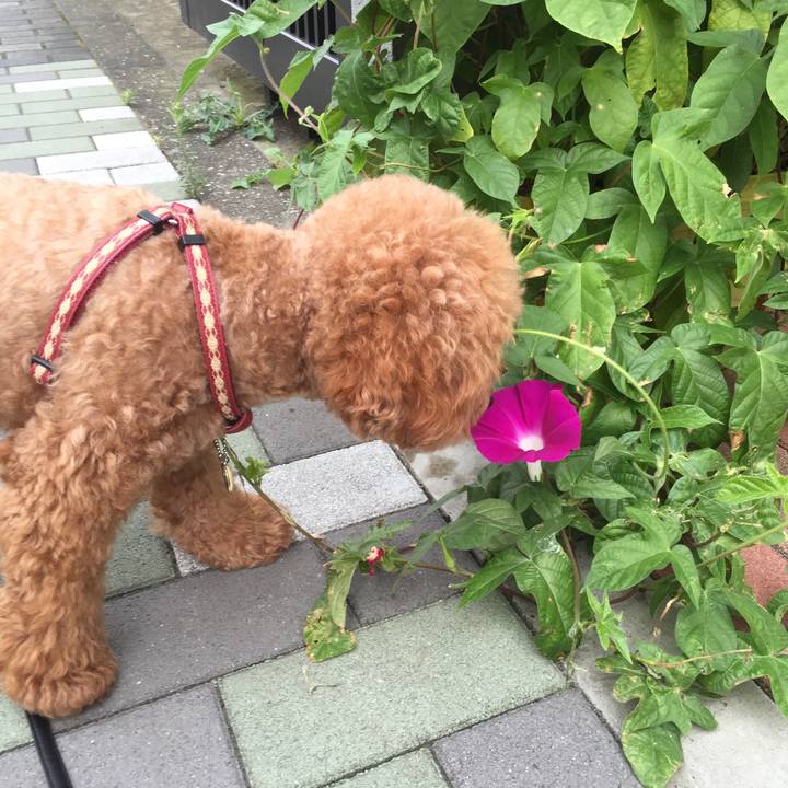 Ec0079c2 d5d3 4e18 b831 1f81fd72bdf3