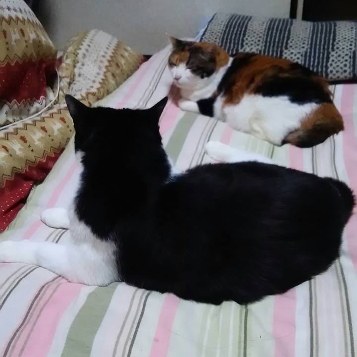 Ec01038a c8d8 4b34 8b82 0e83f4ca99c2