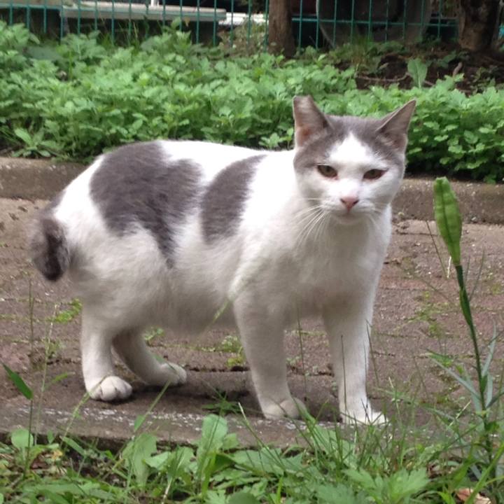 Ec0113cf ec15 4097 b12a c09e4b73ce85