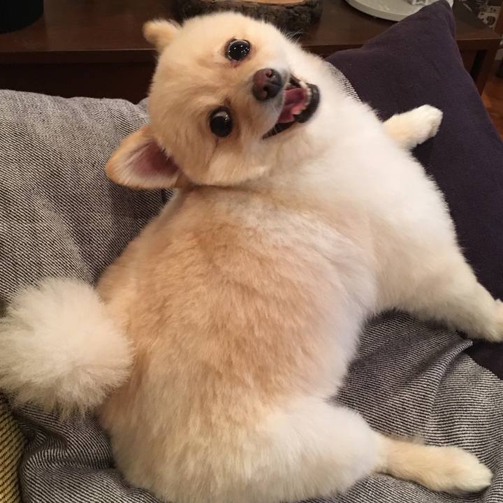 Ec018ed0 4cd8 48f1 96de 10f018248135