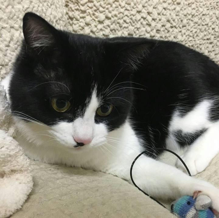 Ec01f34c 93aa 4d4f 8c19 bcb78b0d963e