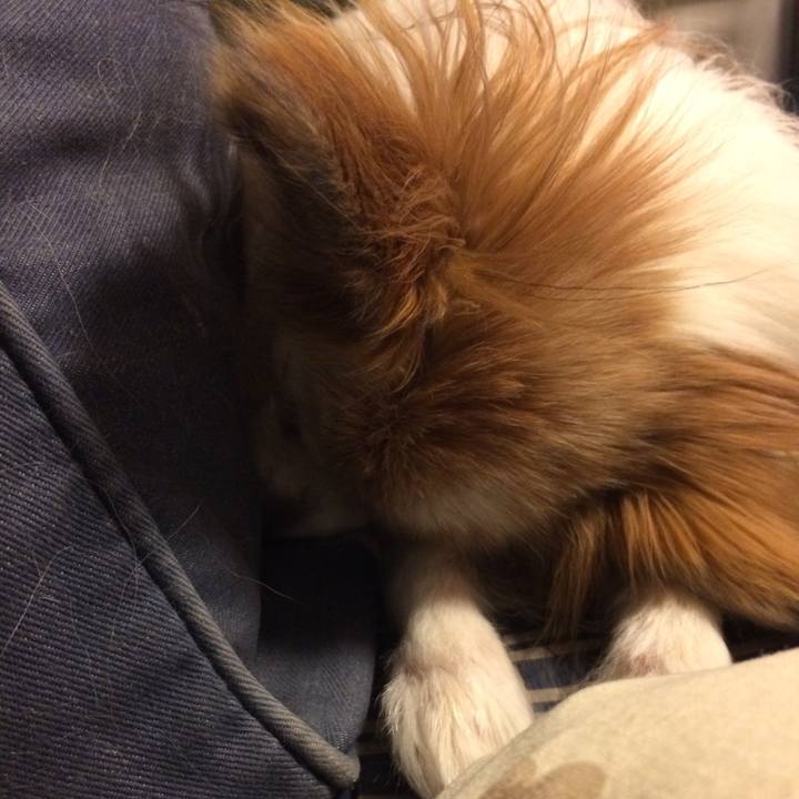 Ec023cc2 cc68 4413 940d 94160b7ab609