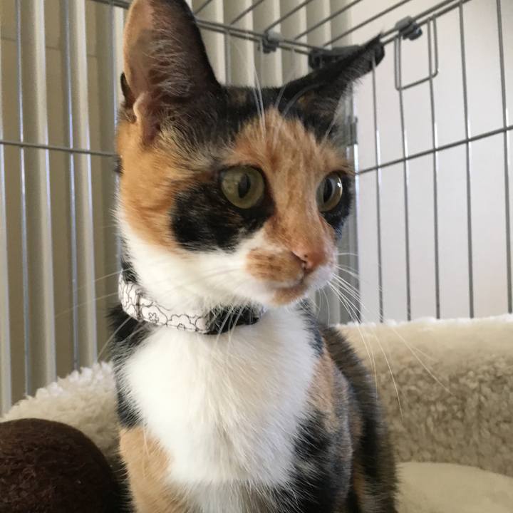 Ec02680e 0331 4823 880b 2c70e695fa32