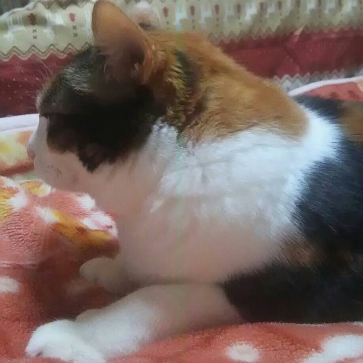 Ec0306c6 5cc0 494c b1e6 0b9f3260cbfa