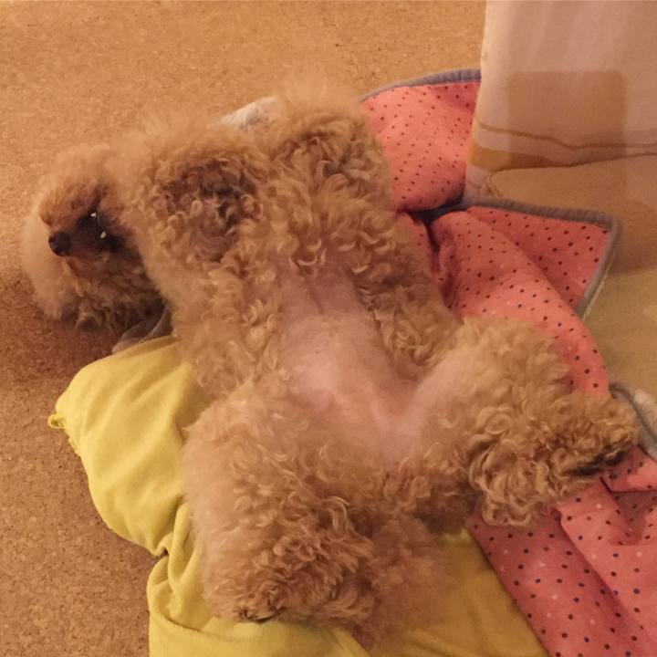 Ec032b93 0866 46cd b743 ce27997c0451