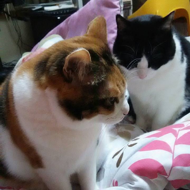 Ec0481c0 0f5d 45dc 8dc6 8f21fef80b17