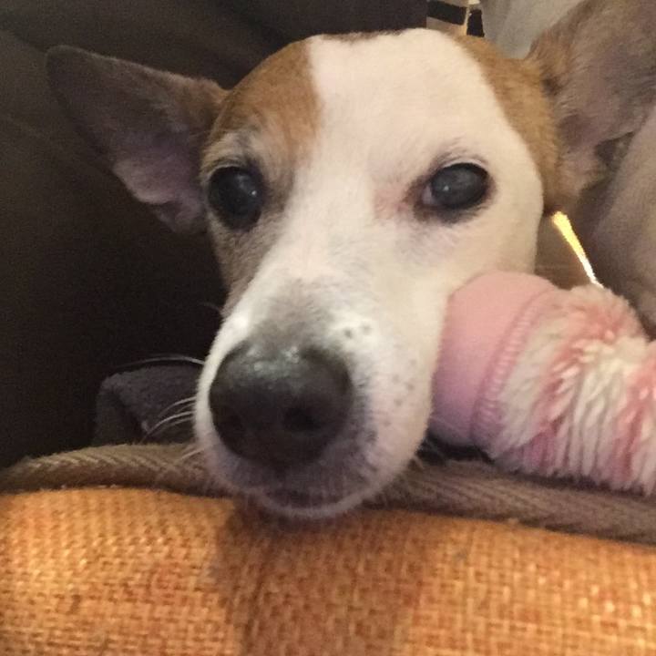 Ec04d894 c3c5 4a1a bf8f 9af7a2084743