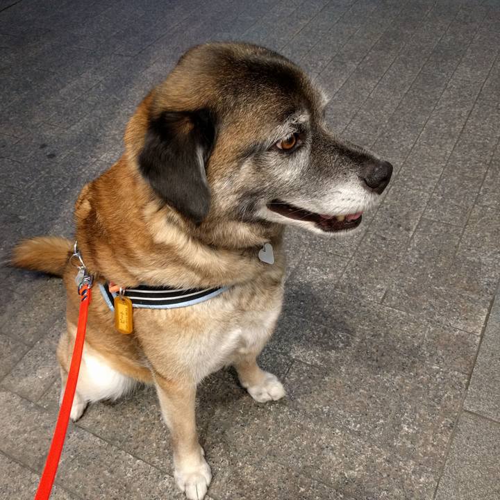 Ec05db47 a94d 4345 a32e 64c35fe13003