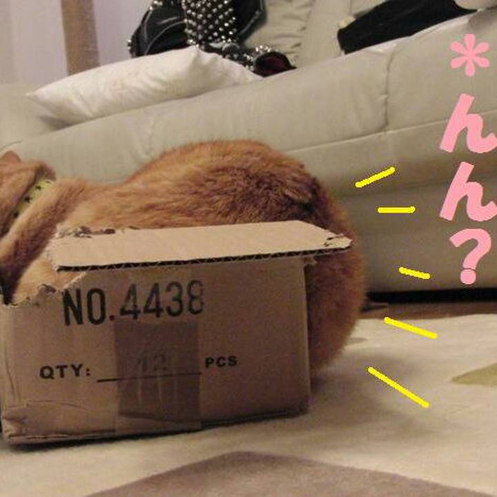 Ec05dfa6 746f 4020 b1d9 517baea804a6