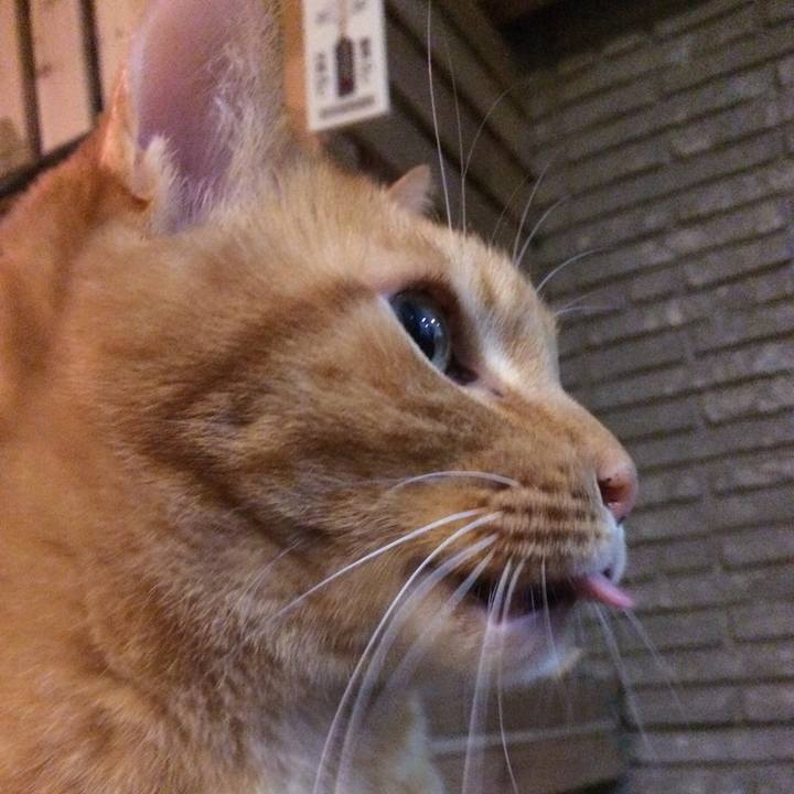 Ec069938 2dfc 466c 96af 1787db25a146