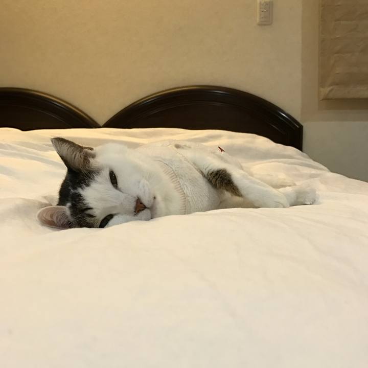 Ec06ecd4 1a13 4ccf 9cd0 1459145a1a09