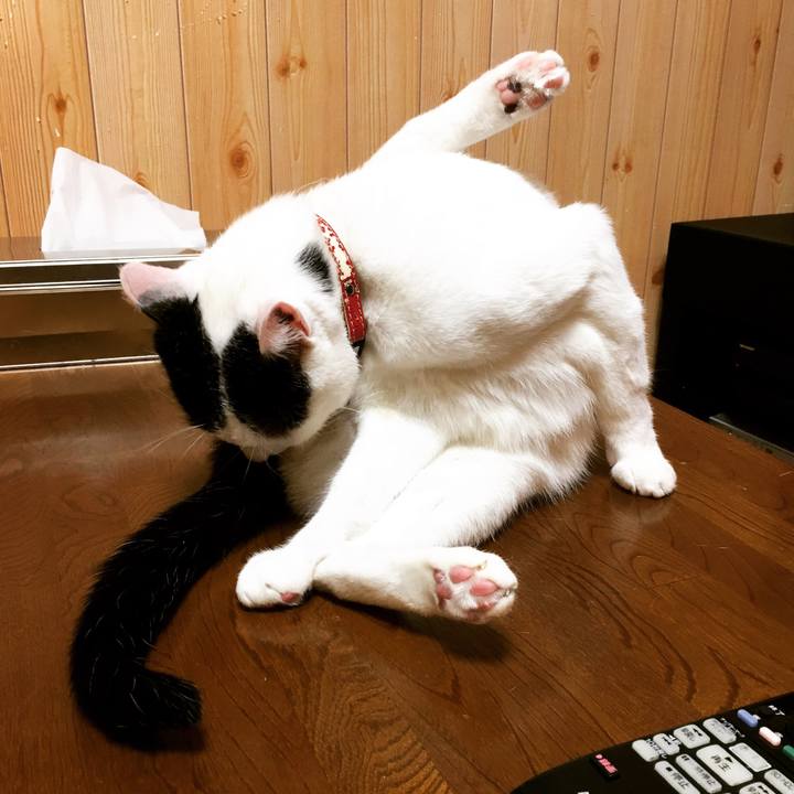 Ec07fa27 201e 4175 a3c7 344884605fe9