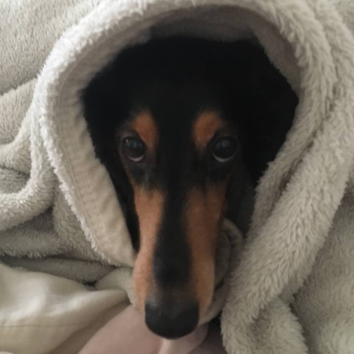 Ec087fed 312c 4395 88e0 edddd6454570