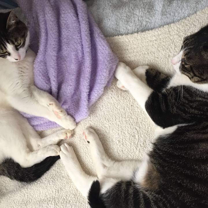 Ec08b7b4 7804 484b b00a 2228ff3c664d