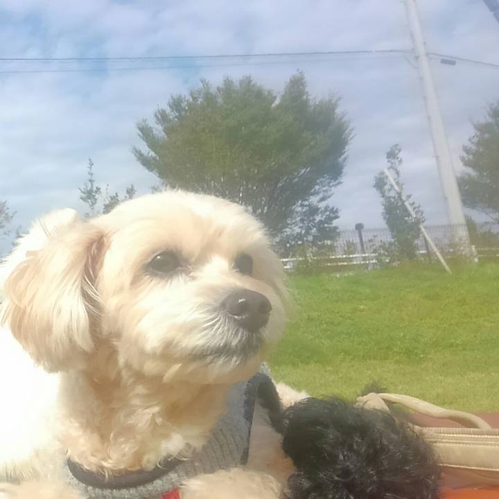 Ec09170e d9e0 4a46 a5ca e13e52ef1273