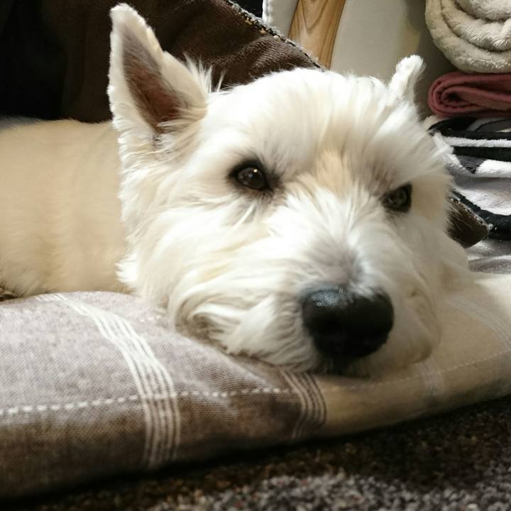 Ec095adf 3744 40b3 bb05 de58c9c3f078