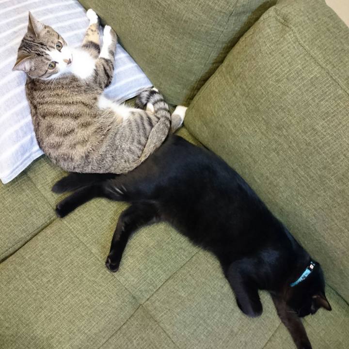 Ec09d469 2bab 466a 8f66 5ad831d3a600