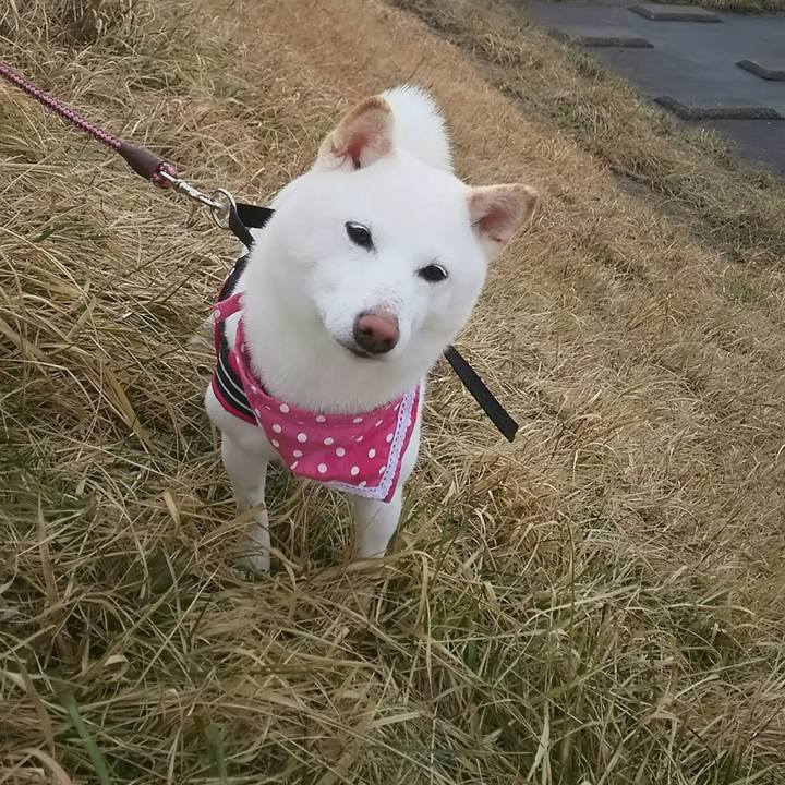 Ec0a2786 783d 4a94 9ff0 bd1023186734